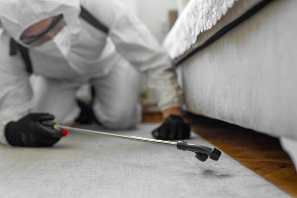 Professional Ant Control technician working in Iowa, LA