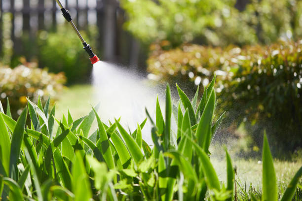 24/7 Emergency Wasp Removal experts in Iowa, LA